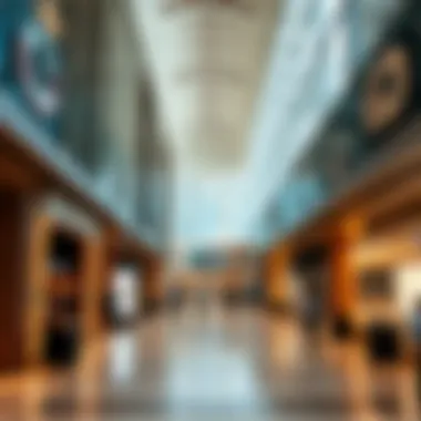 Magnificent Exploring the Landscape of Retail Shops in Dubai Magnificent Exploring the Landscape of Retail Shops in Dubai