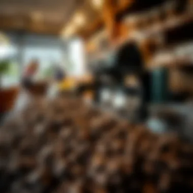 Coffee beans and brewing equipment highlighting artisanal quality