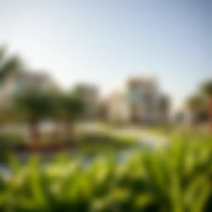 Community gathering spaces promoting social interaction in the park