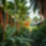 Diverse Plant Life in Al Reem Park Lush greenery of Al Reem Park showcasing diverse plant life