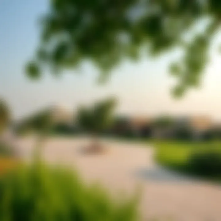 Green Spaces and Landscape in Al Shaab Village Landscape views and green spaces in Al Shaab Village