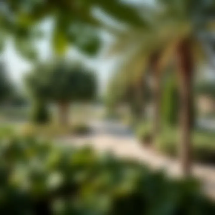 Family-friendly park in Al Warqa featuring lush greenery