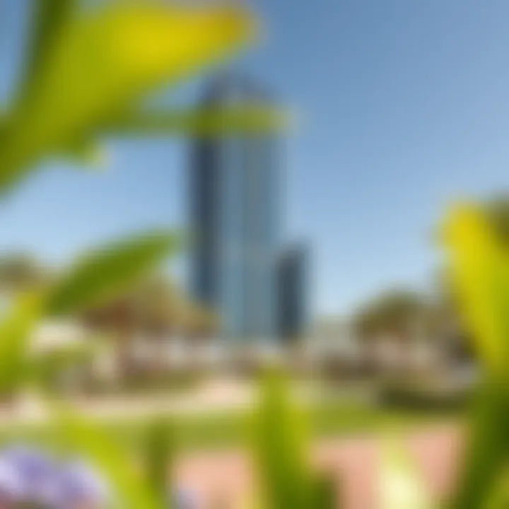 Ground-level view of the surroundings and amenities near Brands Creek Tower