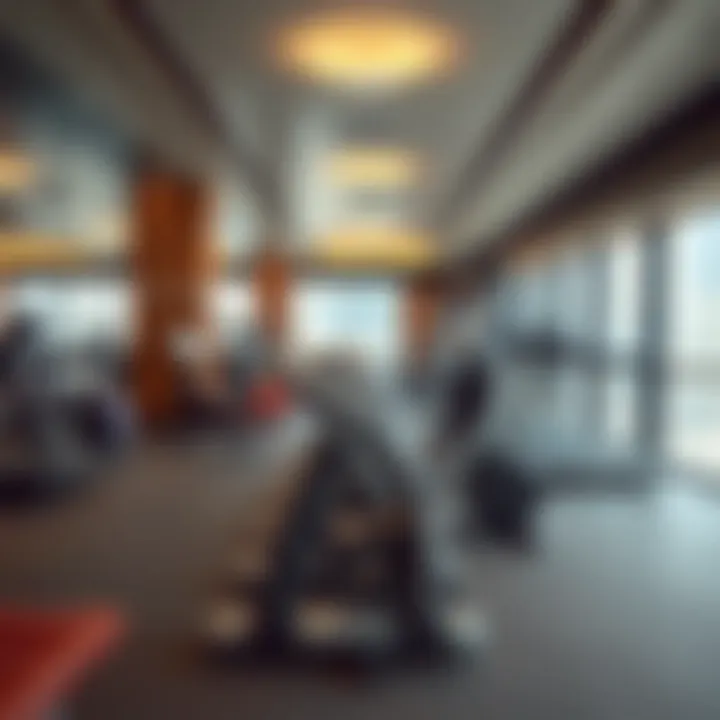 Interior view of City Walk Gym showcasing modern equipment