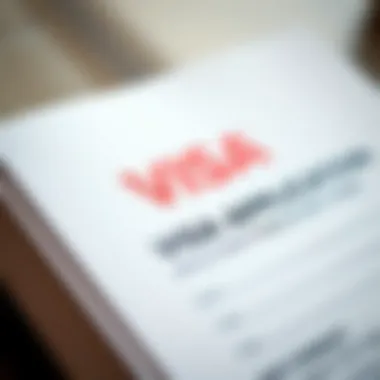 Visa application form close-up