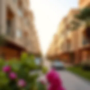 Investment potential in Jumeirah Village Circle