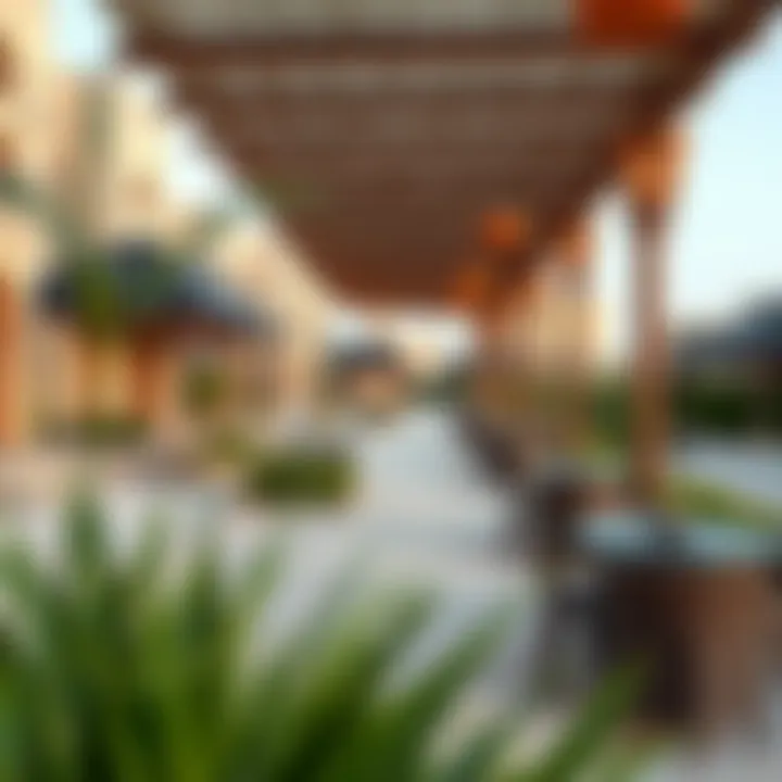 Community amenities surrounding Creek Vistas Grande