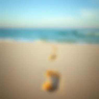 Trace of Solitude Footprints in the soft sand of a tranquil beach