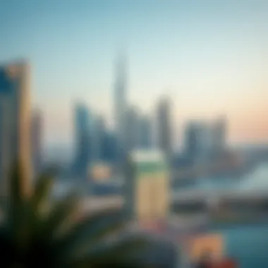 Investment Landscape in Dubai Dubai skyline representing investment opportunities