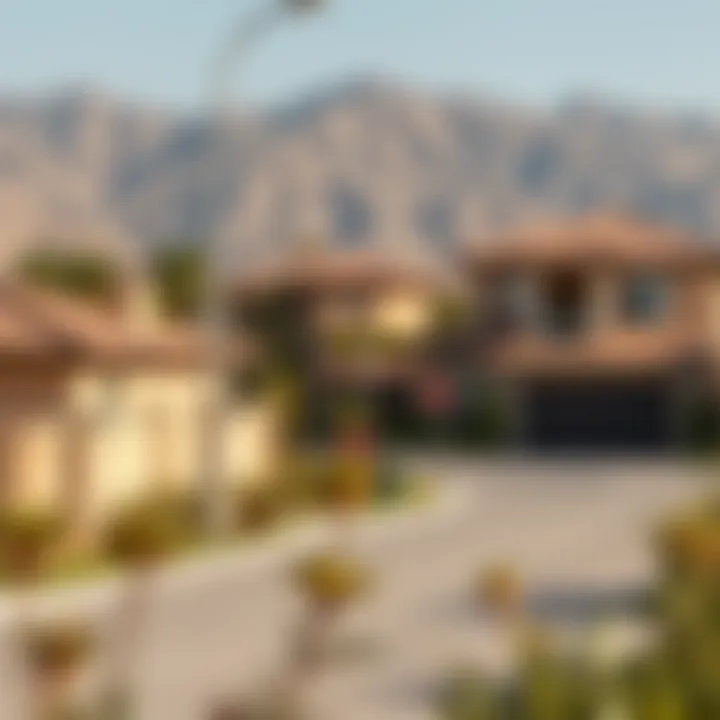 Visual representation of the surrounding neighborhoods near Dunes Village Dip 2