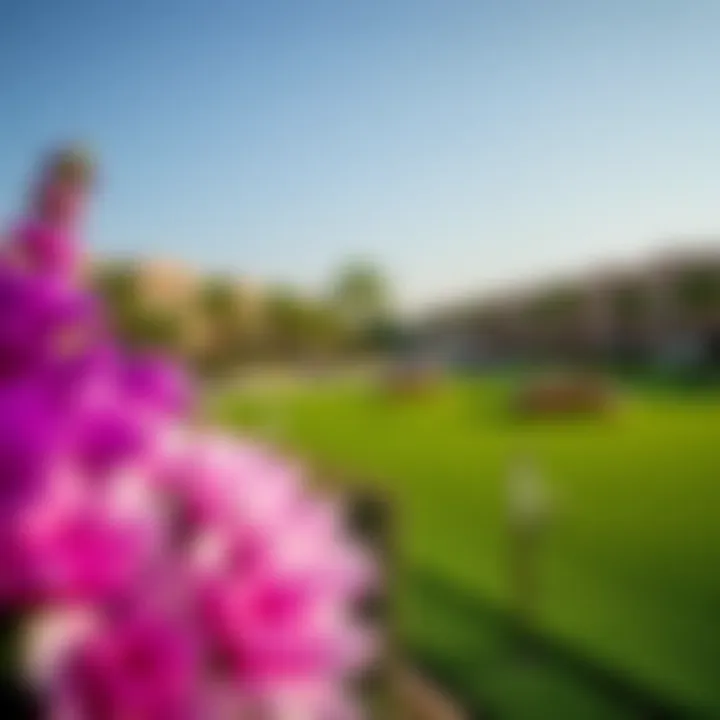 Vibrant amenities available to residents including parks and recreational areas