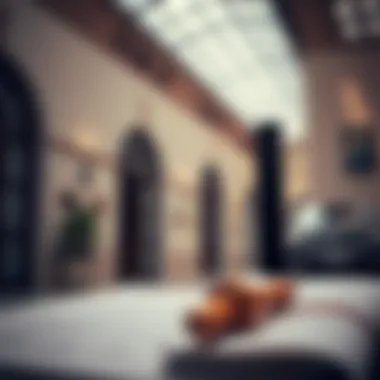 A visual guide showcasing the essential documents for independent visa applications