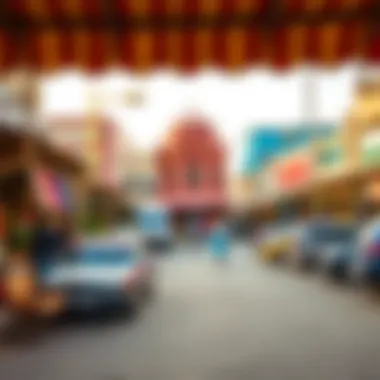 Cultural elements in Abu Hail