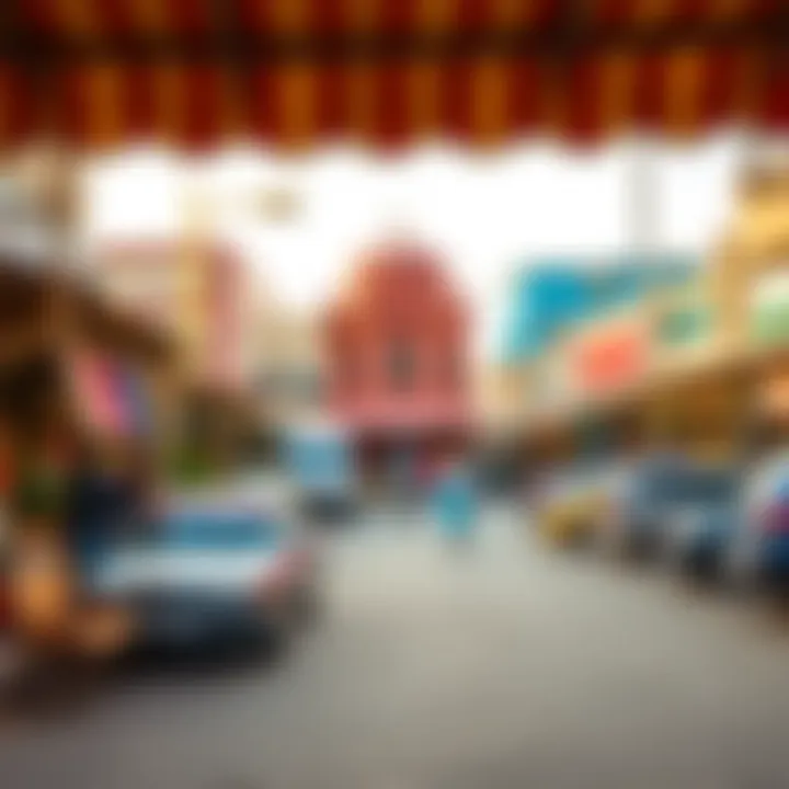 Cultural elements in Abu Hail