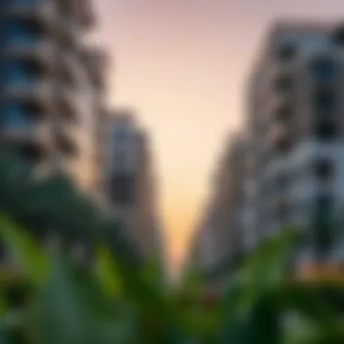 Architectural Diversity in Abu Hail Modern residential buildings in Abu Hail highlighting architectural diversity