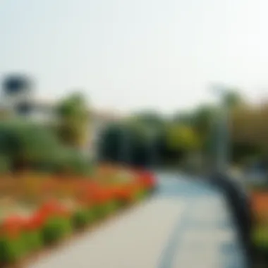 Jogging track at Al Garhoud Park surrounded by flora