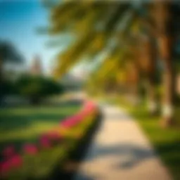 Scenic view of Al Garhoud Park showcasing lush greenery