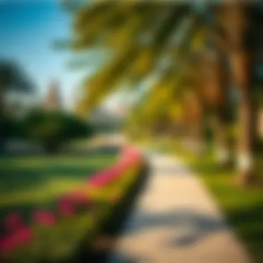 Scenic view of Al Garhoud Park showcasing lush greenery