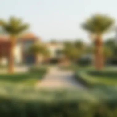 Community Spaces: Parks and Recreation in Al Hiba Community park in Al Hiba providing serene environment