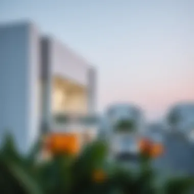 Contemporary Living in Al Shuaibah Al Ain Modern residential development in Al Shuaibah Al Ain, highlighting real estate options