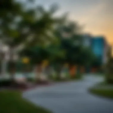 Community Park in International City Community park in International City, ideal for relaxation and leisure