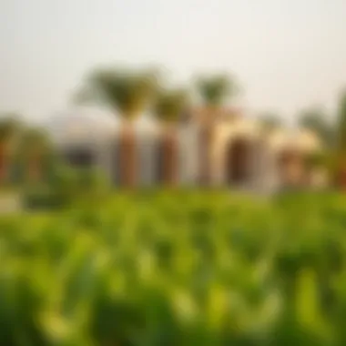 Serene landscape of Arabian Ranches featuring lush greenery