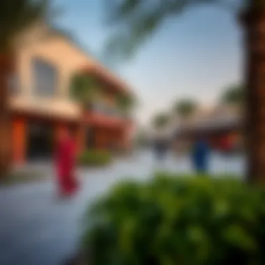 Community Life in Areeqob Jumeirah A vibrant community park in Areeqob Jumeirah bustling with activity