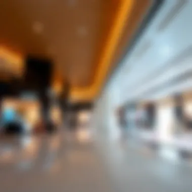 Luxurious Interior of Damac Mall Interior shot of Damac Mall highlighting retail spaces and luxurious ambiance