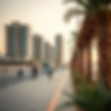 Modern Amenities at Deira Beach Modern infrastructure and amenities along Deira Beach