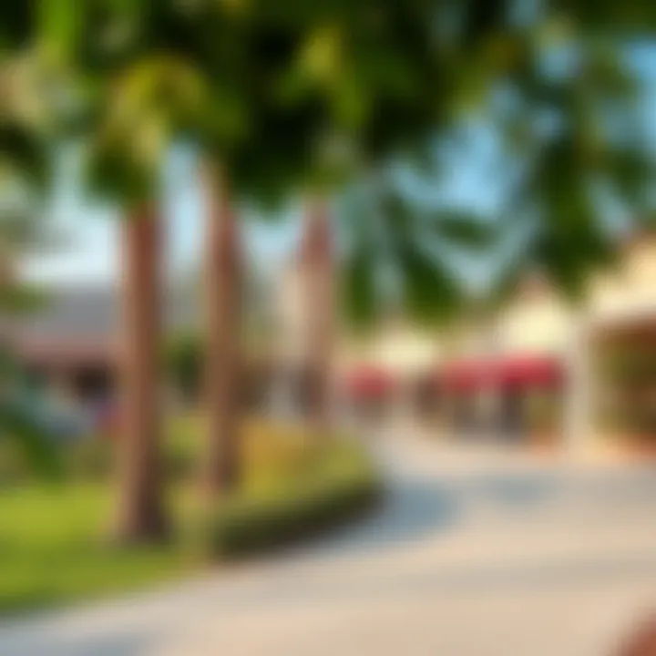 Community amenities in Dubai International Park including parks and recreational facilities