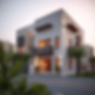 Residential area in Fariq Al Ain highlighting diverse housing options