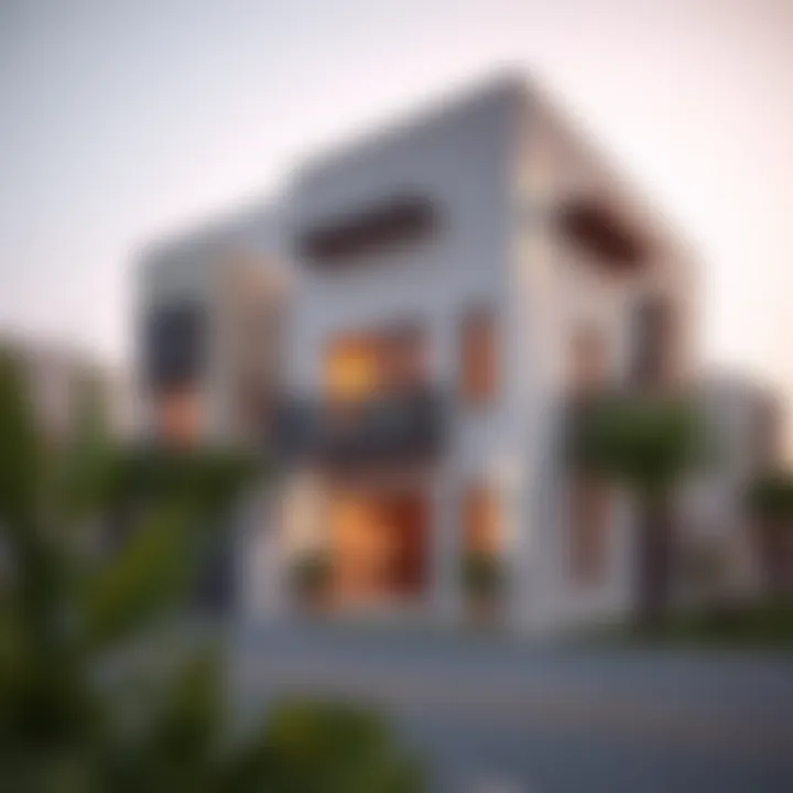 Residential area in Fariq Al Ain highlighting diverse housing options
