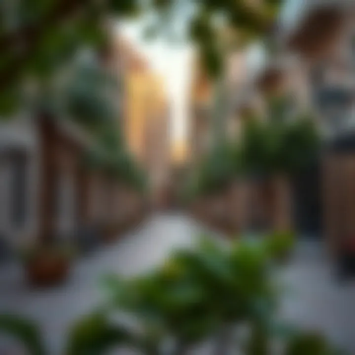 Vibrant community spaces in Al Nahda