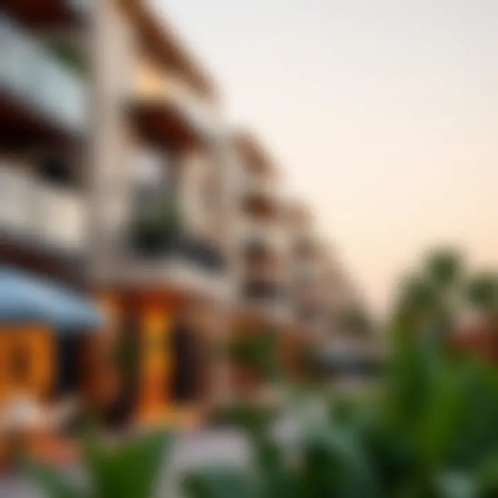 Vibrant neighborhood showcasing Dubai's lifestyle