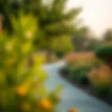 Exploring Green Park Ras Al Khor: A Gateway to Nature in Dubai Introduction
