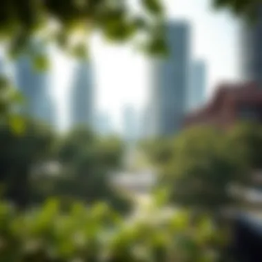 An urban park integrating sustainable design amidst skyscrapers