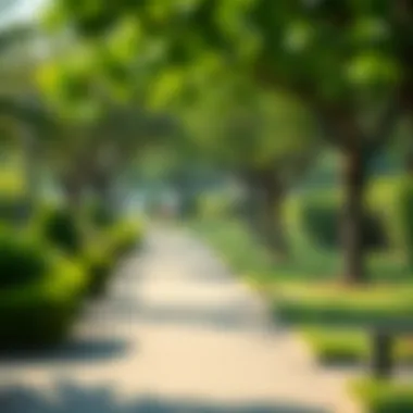 Lush Green Parks in Jumeirah Park Lush green parks and recreational areas in Jumeirah Park