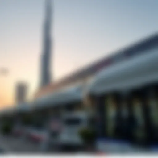 Dubai Metro overview showcasing key routes