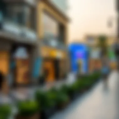 Diverse retail offerings in Jebel Ali