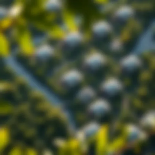 Aerial view of mangrove residences interspersed with lush greenery