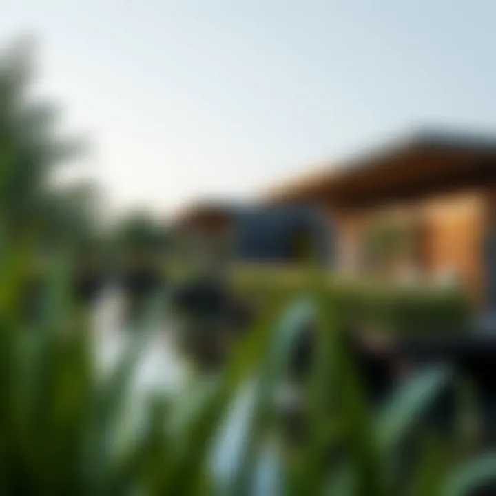 Sustainable Innovations in Design Sustainable features within mangrove residences enhancing eco-friendliness