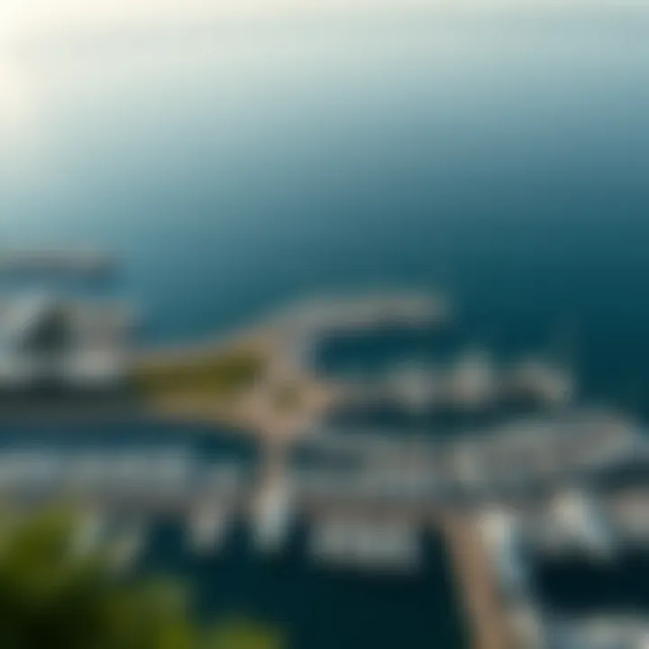 Visual representation of optimized marina layouts