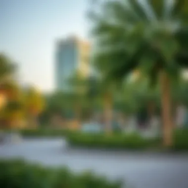 Parks and Greenery in Meydan City Lush greenery and parks in Meydan City