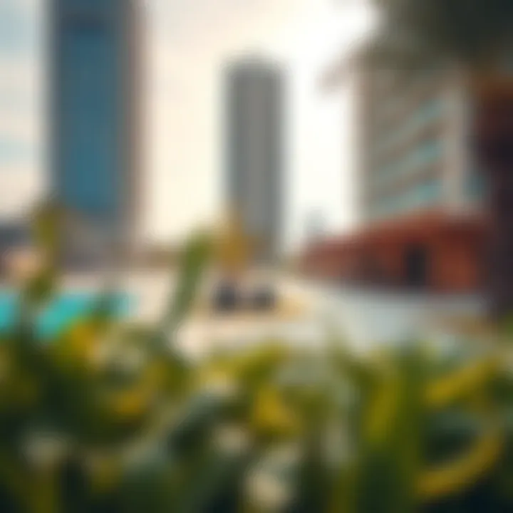 Community Spaces and Recreational Areas in Mina Rashid Community spaces and recreational areas in Mina Rashid