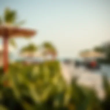 Vibrant Community Amenities at Nakheel Beach Community amenities available at Nakheel Beach for residents