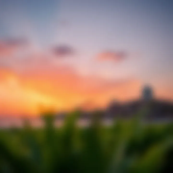 Sunset view over Nakheel Beach highlighting its scenic beauty
