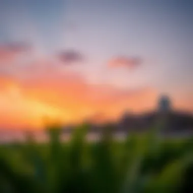Captivating Sunset Over Nakheel Beach Sunset view over Nakheel Beach highlighting its scenic beauty