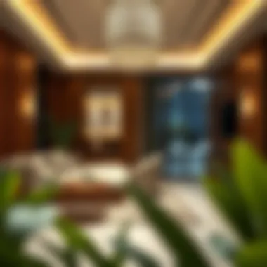 Essential Amenities for Guest Comfort Amenities offered in paying guest accommodations
