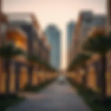 Community Aspects of International City Community living in International City