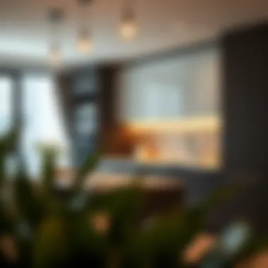 Modern kitchen design in a studio apartment